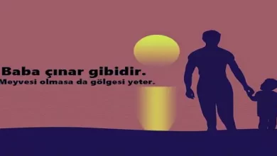 babaya sözler