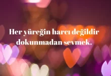 en kral aşk sözleri