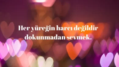 en kral aşk sözleri